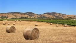 Ferienwohnungen in Barossa Valley