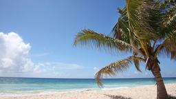 Hotels in Falmouth