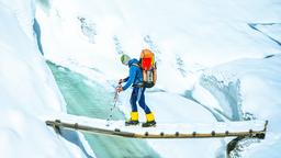 Hotels in Fox Glacier