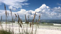 Bradenton Beach Hotelverzeichnis