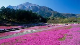 Hotels in Chichibu