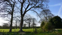Hotels in Tarporley