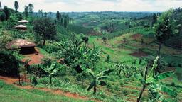 Nyeri Hotelverzeichnis