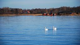 Hotels in Farjestaden