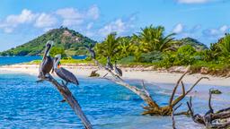 Hotels in Grenada