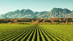 Hotels in Safford