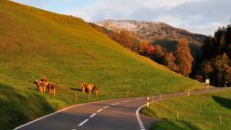 Hotels in Hasliberg
