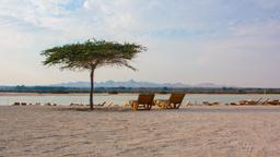 Hotels in Sir Bani Yas