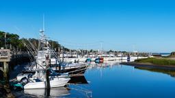 Hotels in Orleans