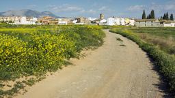 Hotels in Albolote
