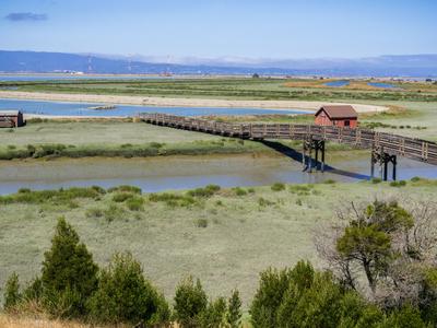 Fremont