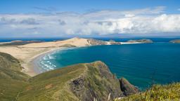 Hotels in Northland