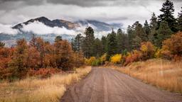 Hotels in Pagosa Springs