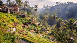 Hotels in Payangan