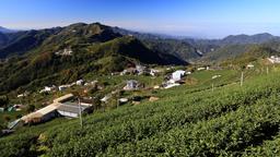 Hotels in Alishan