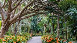 Hotels in Sydney - in der Nähe von: Royal Botanic Gardens