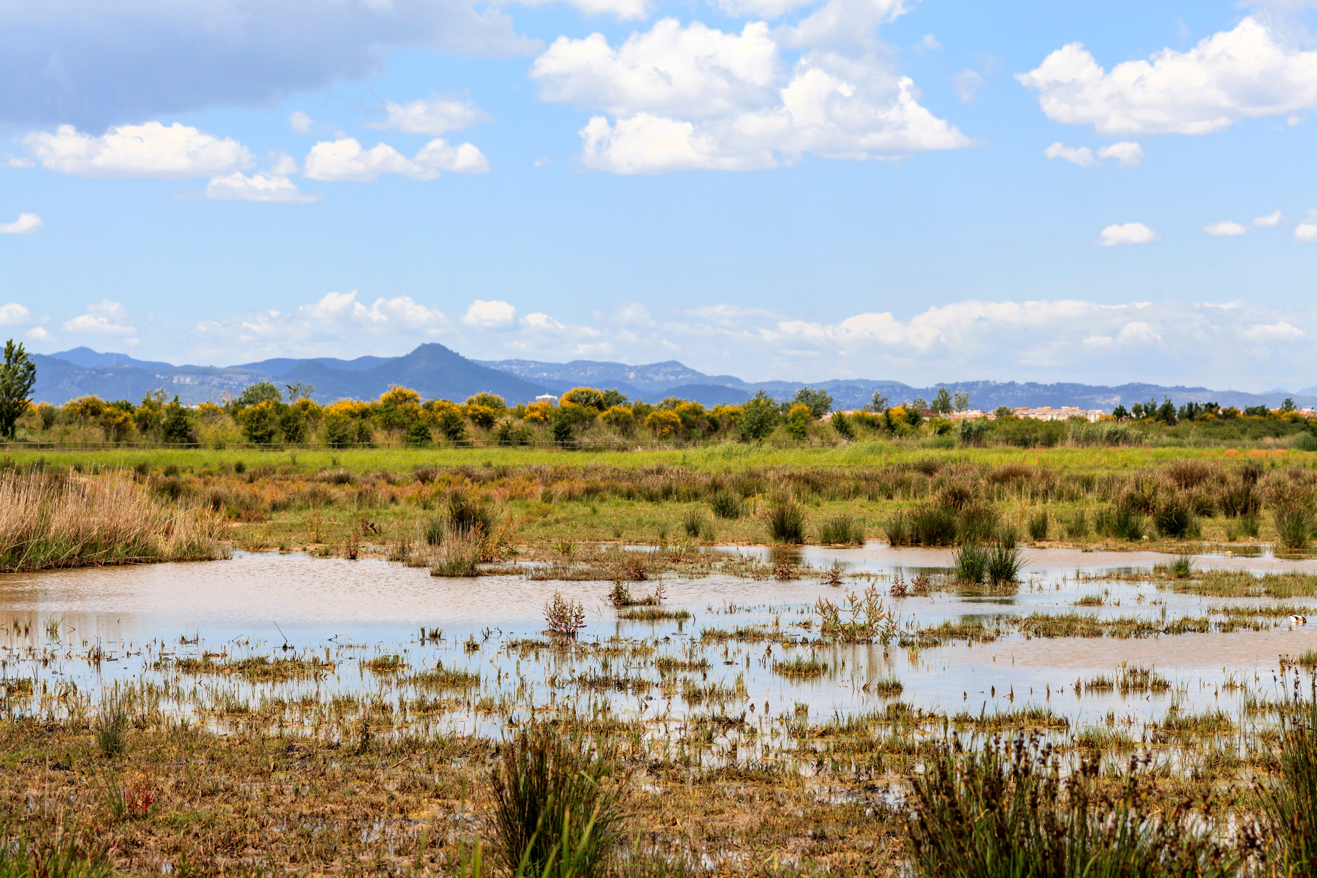 Mietwagen in El Prat de Llobregat