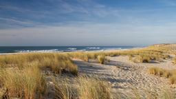Hotels in Cap Ferret