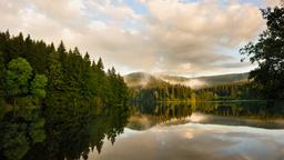 Ferienwohnungen in Harz