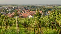 Hotels in Sinsheim