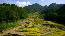Hotels in Shinshiro