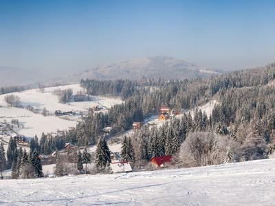 Wisla