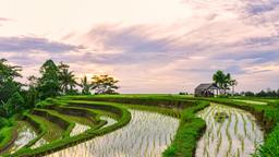Hotels in Tabanan