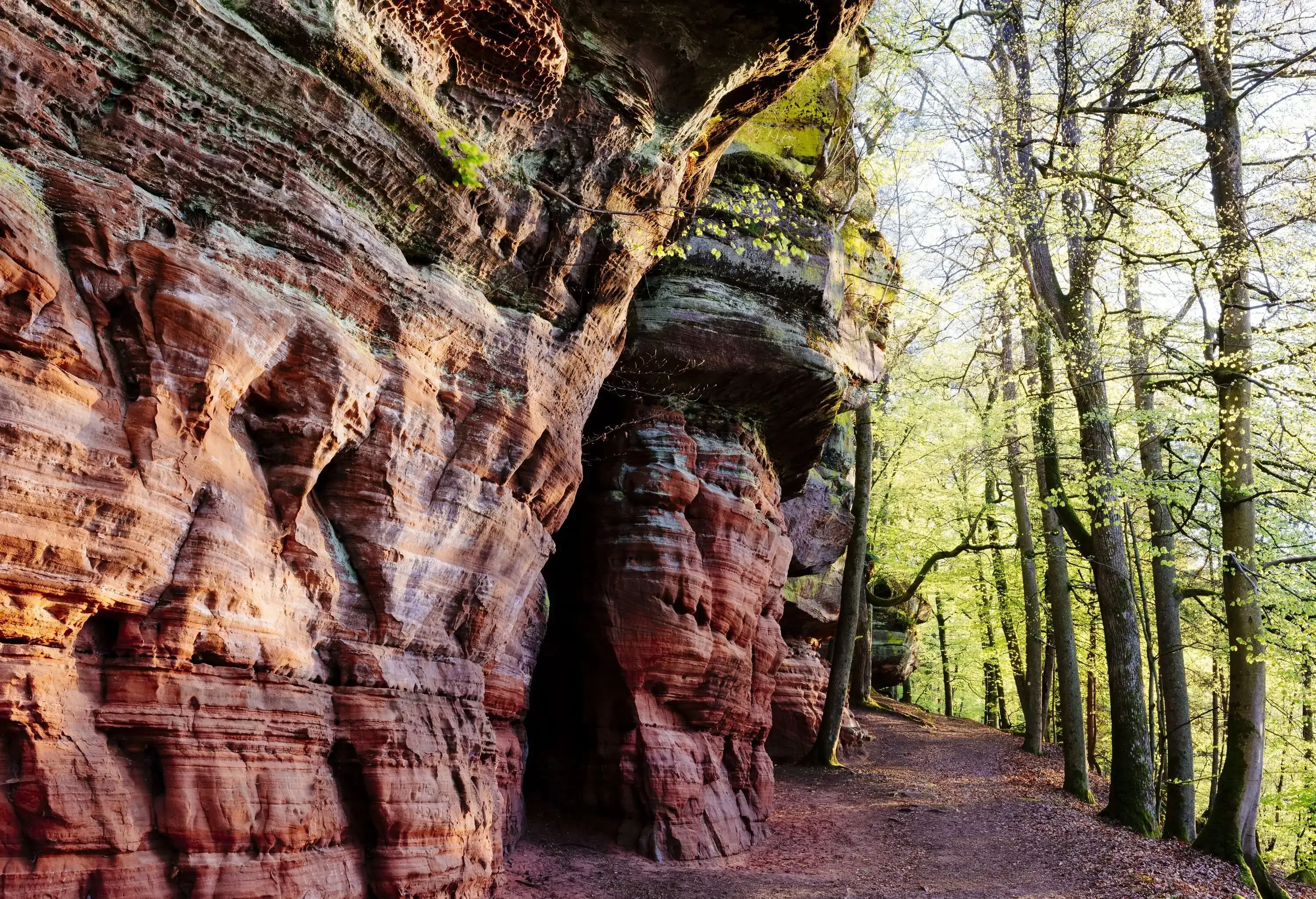 A trail bordered by eroded sandstone walls and autumnal trees.