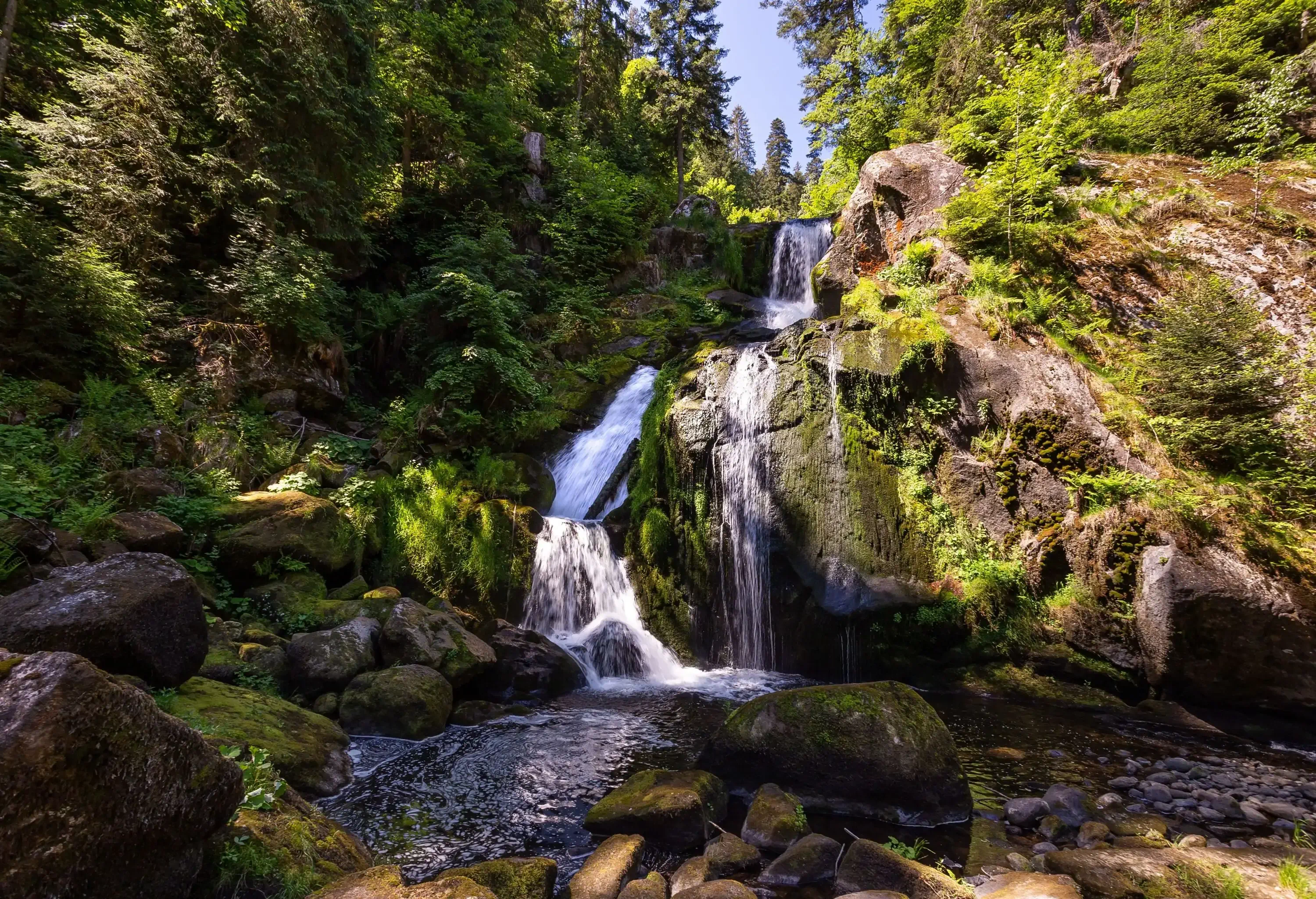 A waterfall drops over steep rocks surrounded by lush trees and foliage in a forest.