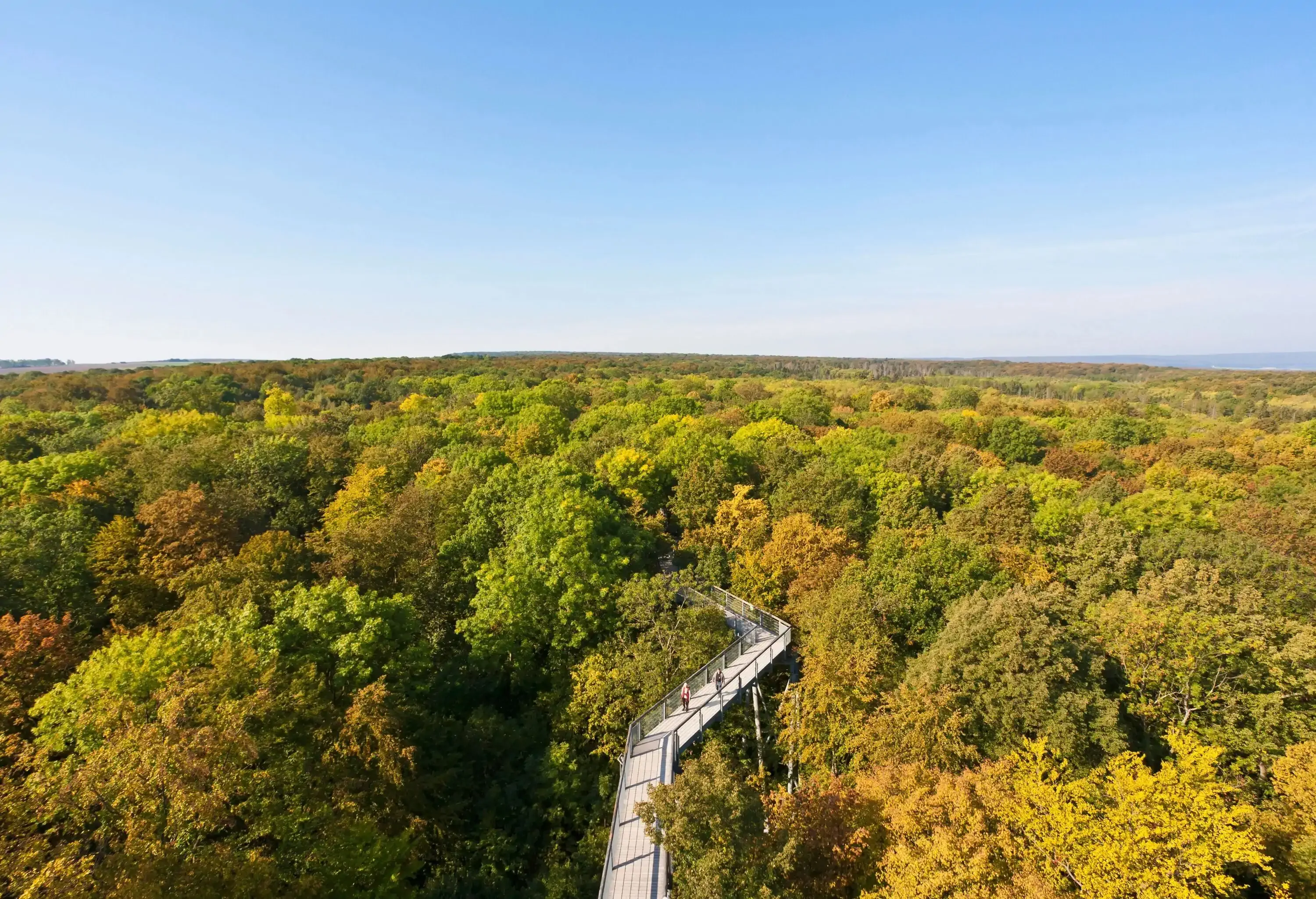 Two tourists walk along a canopy walkway in the middle of lush green trees.