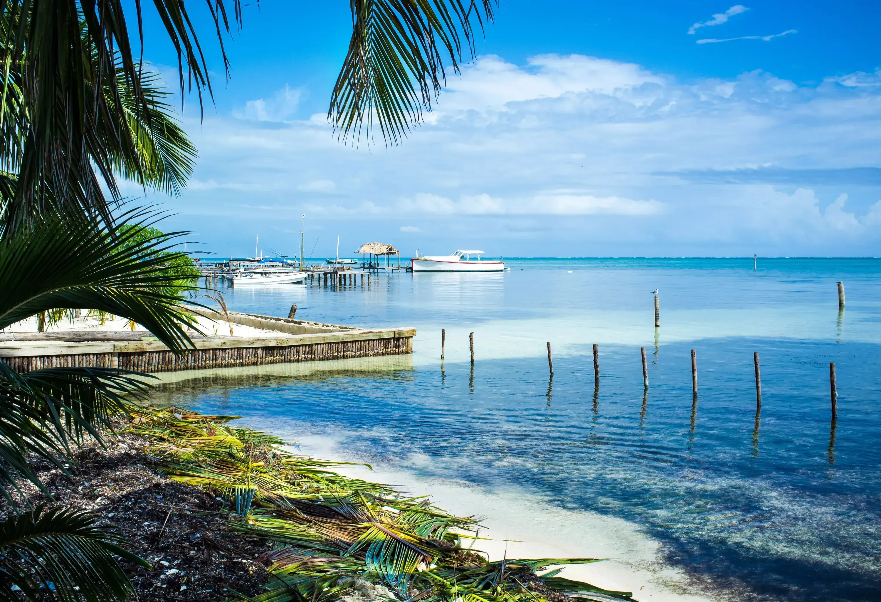 A shady section of a beach with palm leaves draping over it and views of boats in the water nearby.