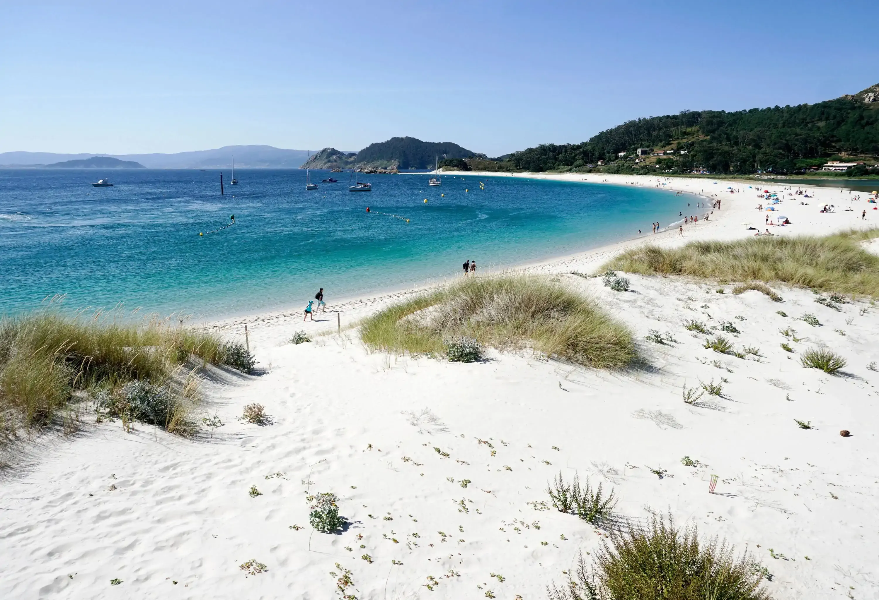 A crowded white sand beach with sailboats cruising in the ocean.