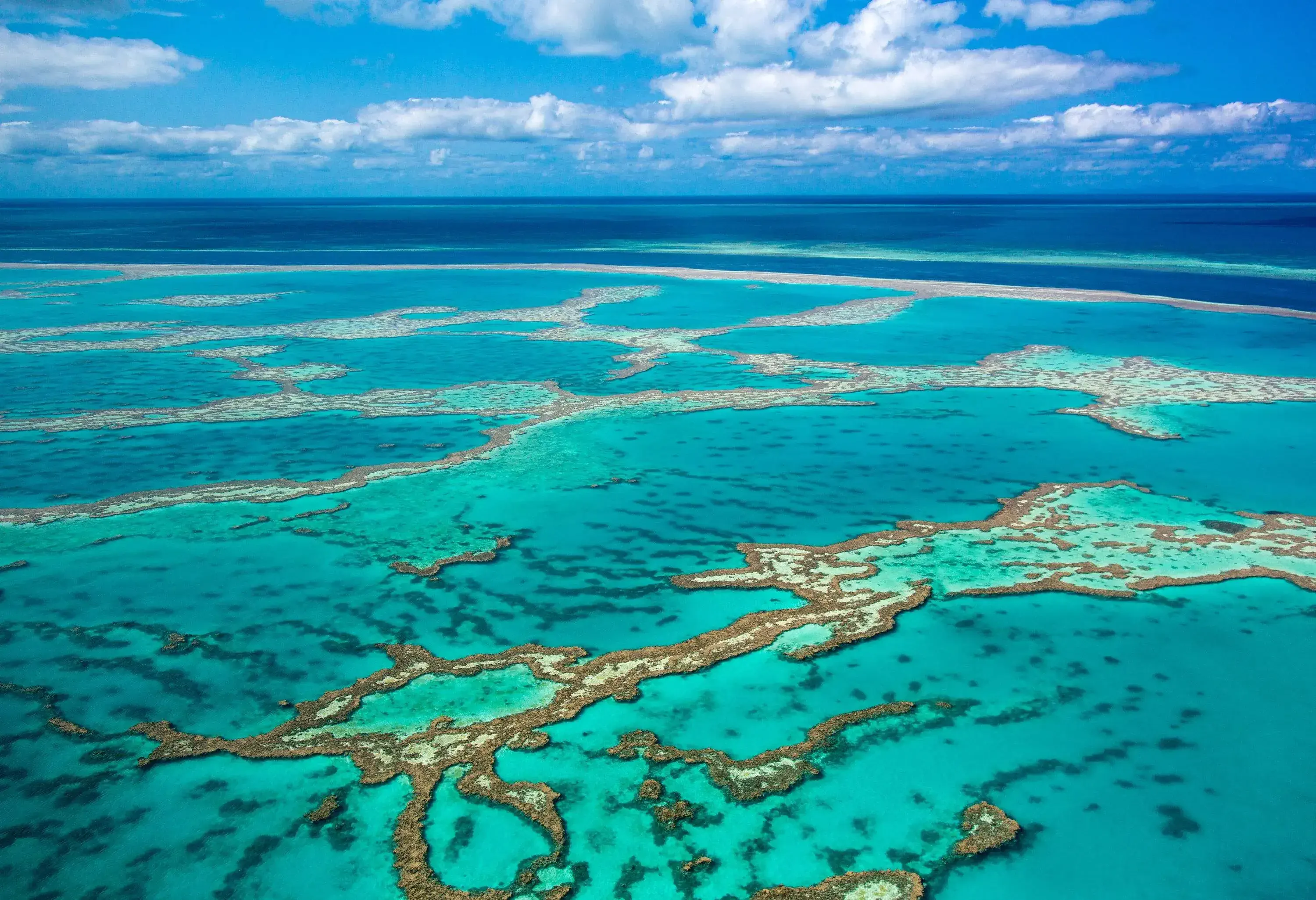 A network of natural reefs spread across the surface of crystal-clear sea.