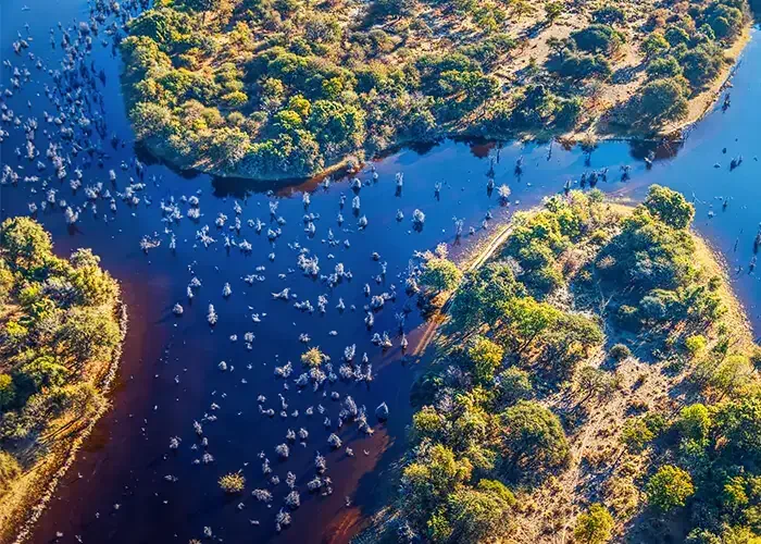 Vadim Petrakov/Shutterstock.com | Okavango-Delta