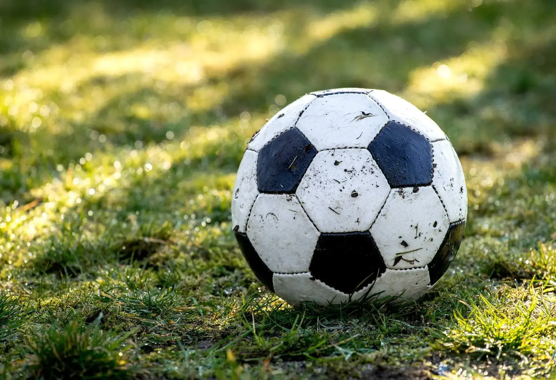 A Football Lying In The Garden.