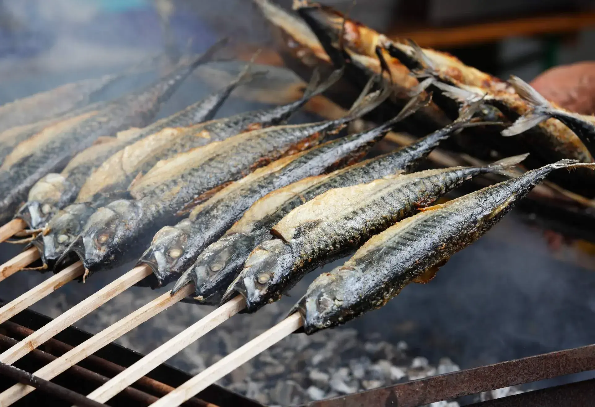 Gilled fish, Lake Starnberg, Germany.