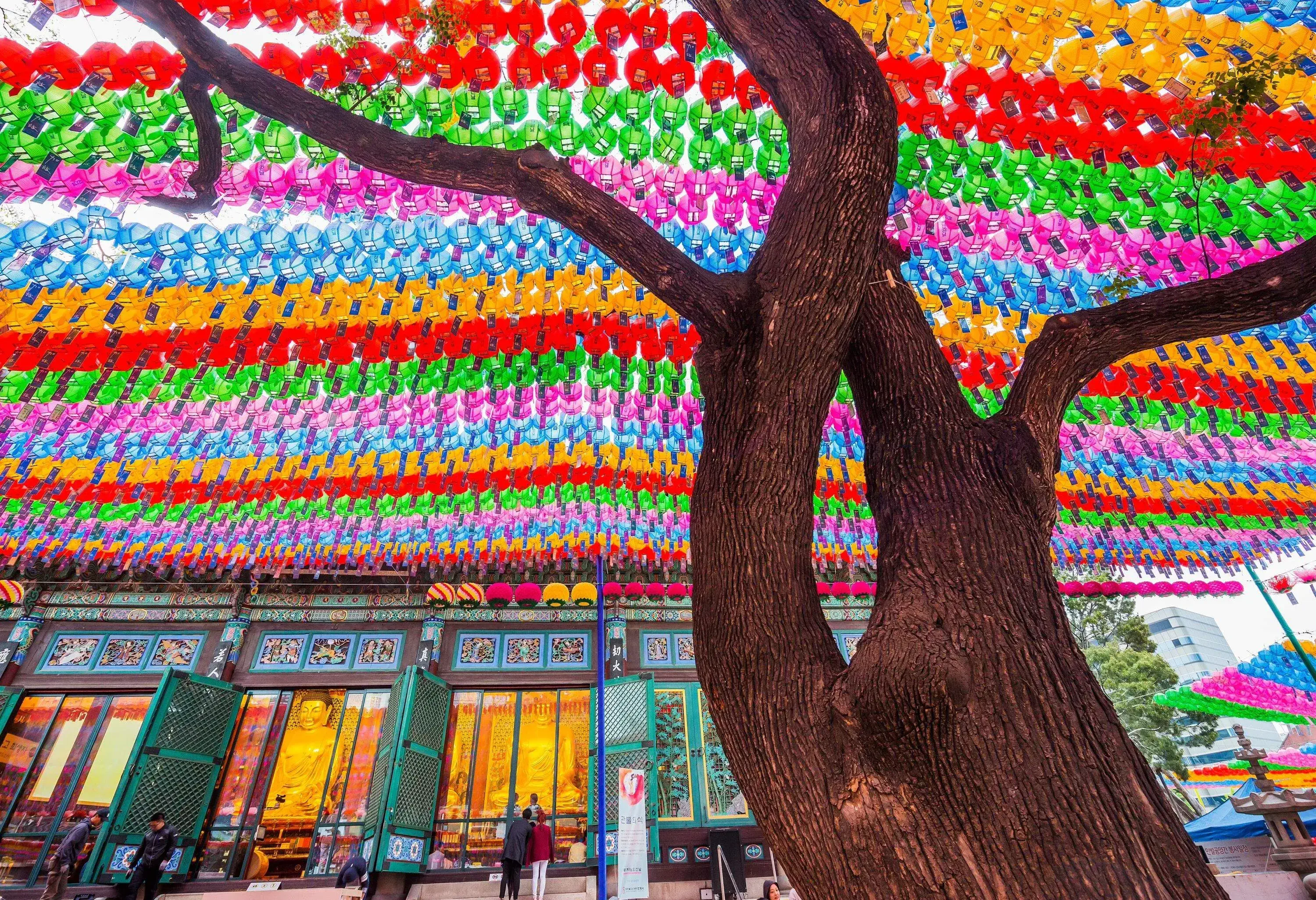 The entrance of Daeungjeon (Main Dharma Hall) during the Lotus Lantern Festival