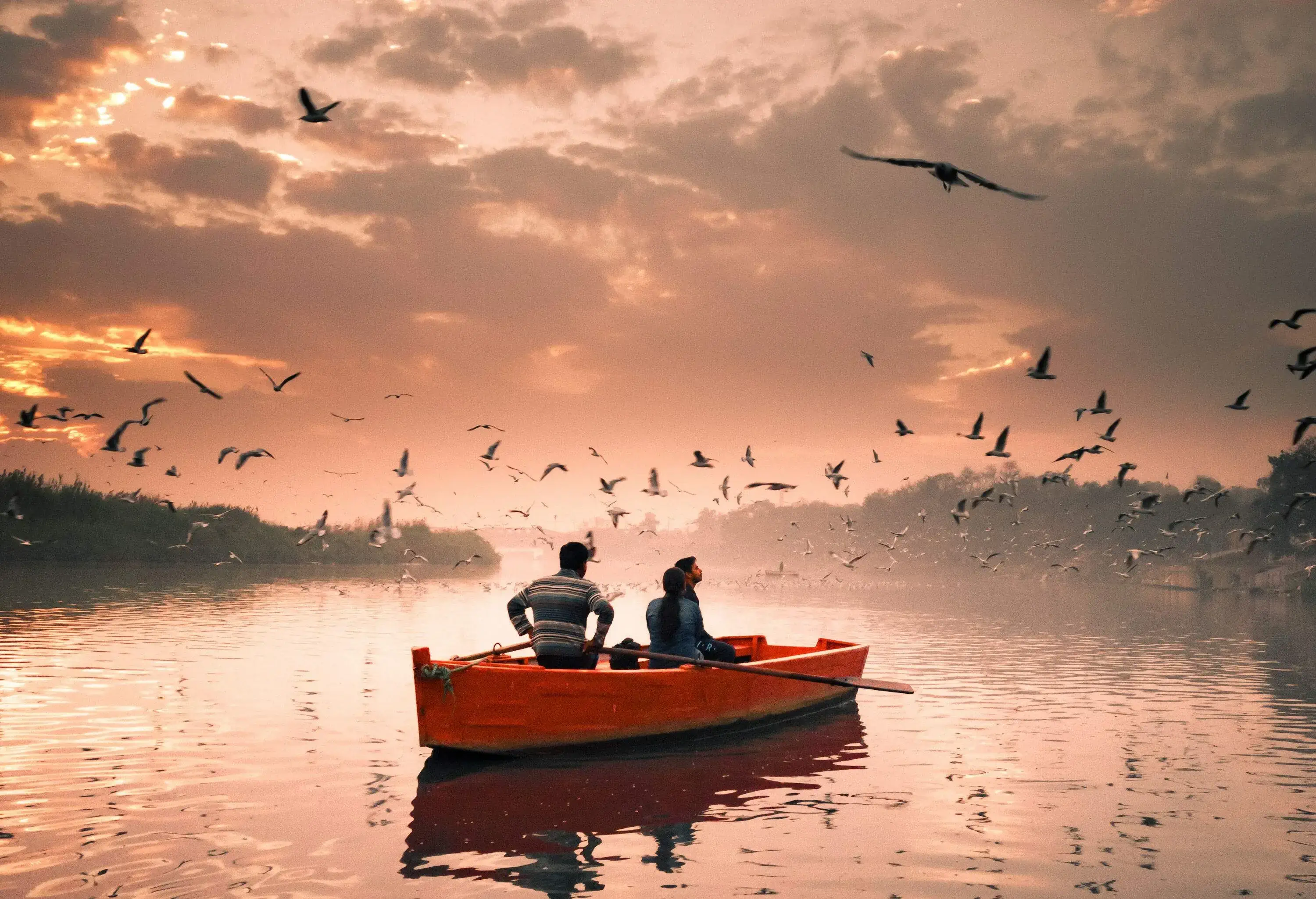 A couple enjoys a serene boat ride on the shimmering, clear water, surrounded by a graceful flock of birds flitting and floating around them.