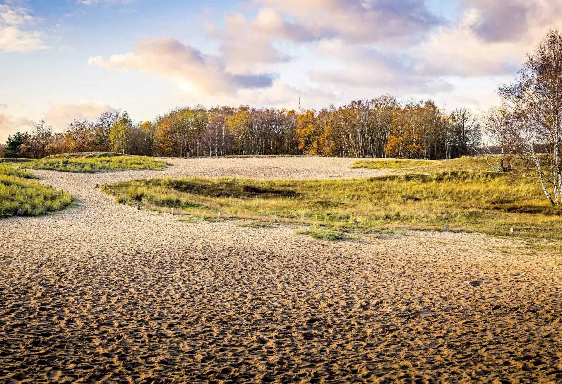 Green meadow and sandy path with trees in autumn colours against a cloudy blue sky.