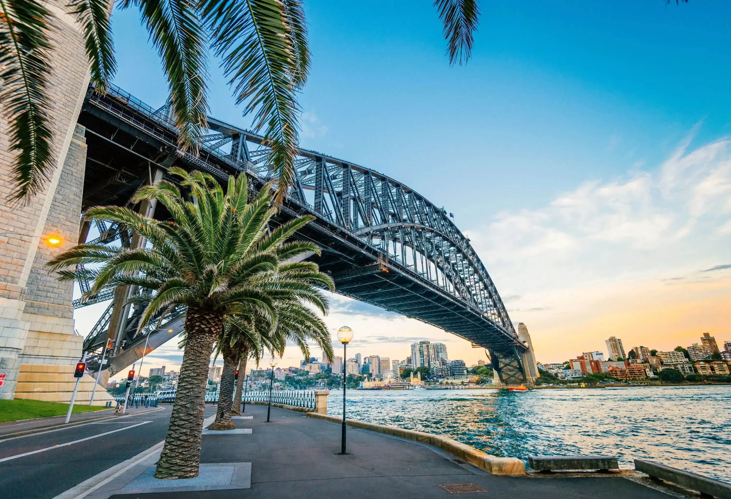 A promenade with tall palm trees overlooking the iconic Sydney Harbor bridge.