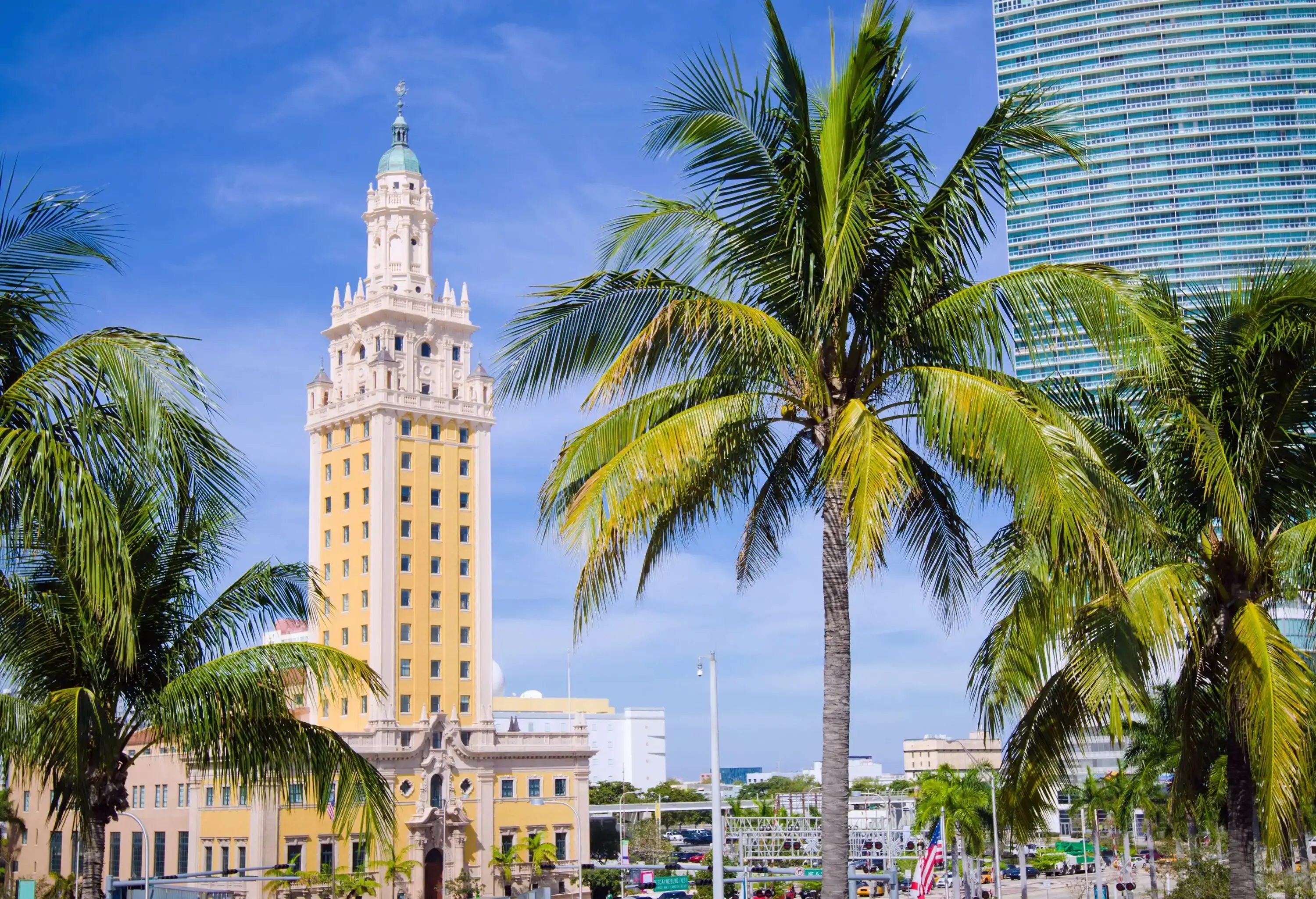 A tower with multiple windows, cupola, and pinnacles in the city centre with a grove of palm trees in the foreground.