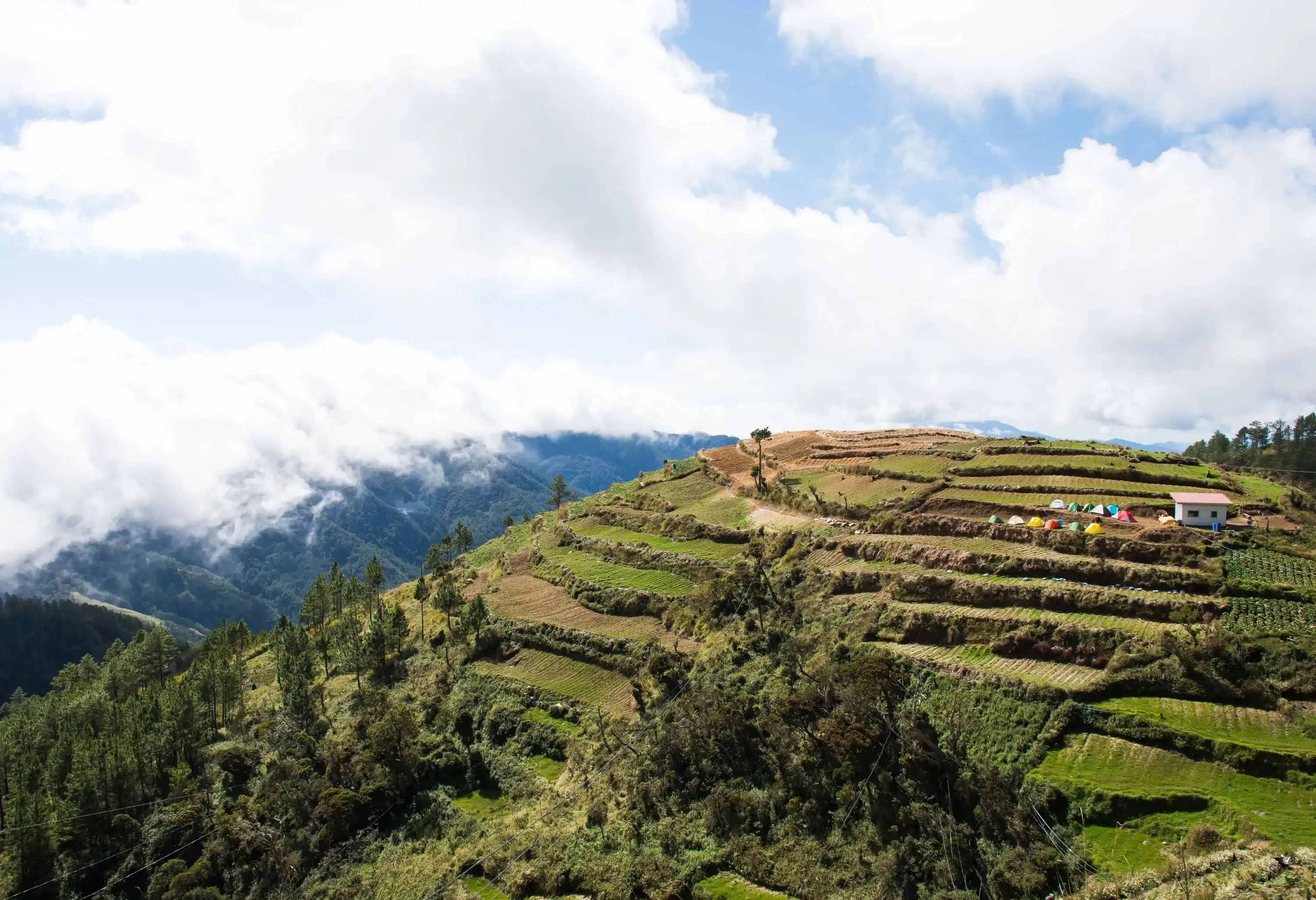 White structure next to the brightly coloured tents set up on the summit of a hill with rice terraces.