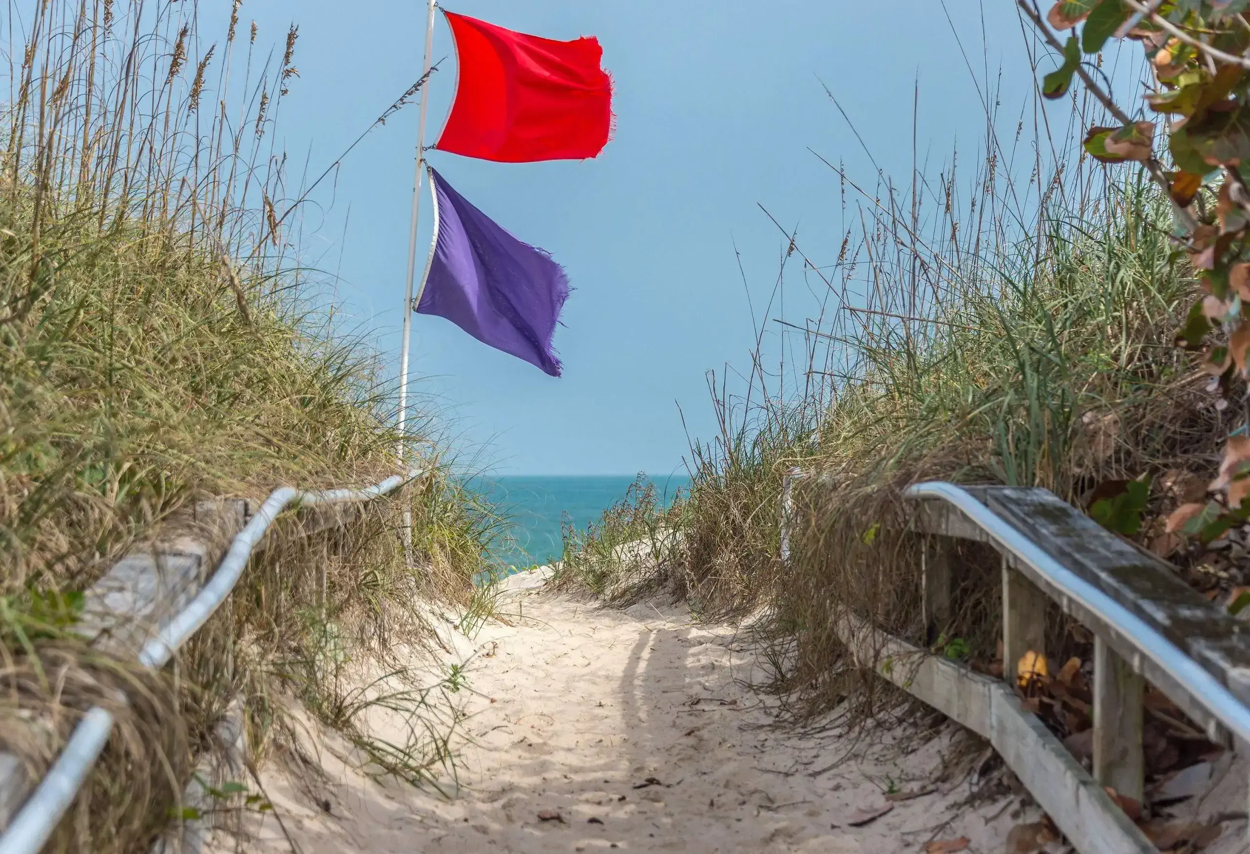 A red and blue flag on a sandy path across a grassy sand dune that leads to the ocean.