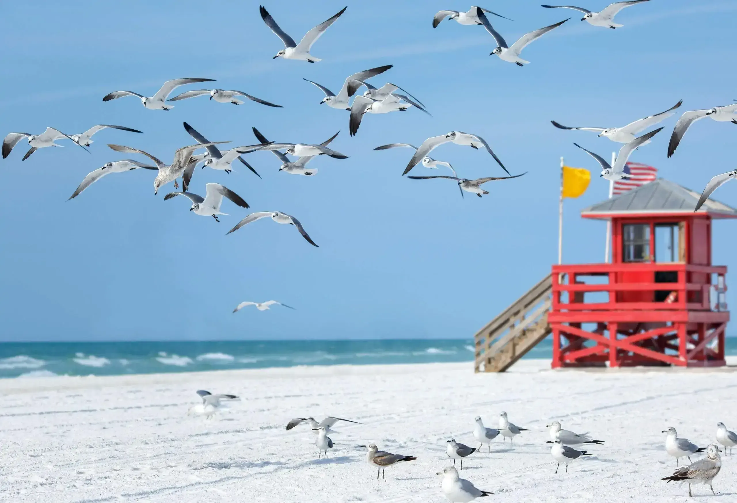A flock of seagulls flying above a pristine beach with a red lifeguard tower in the background.