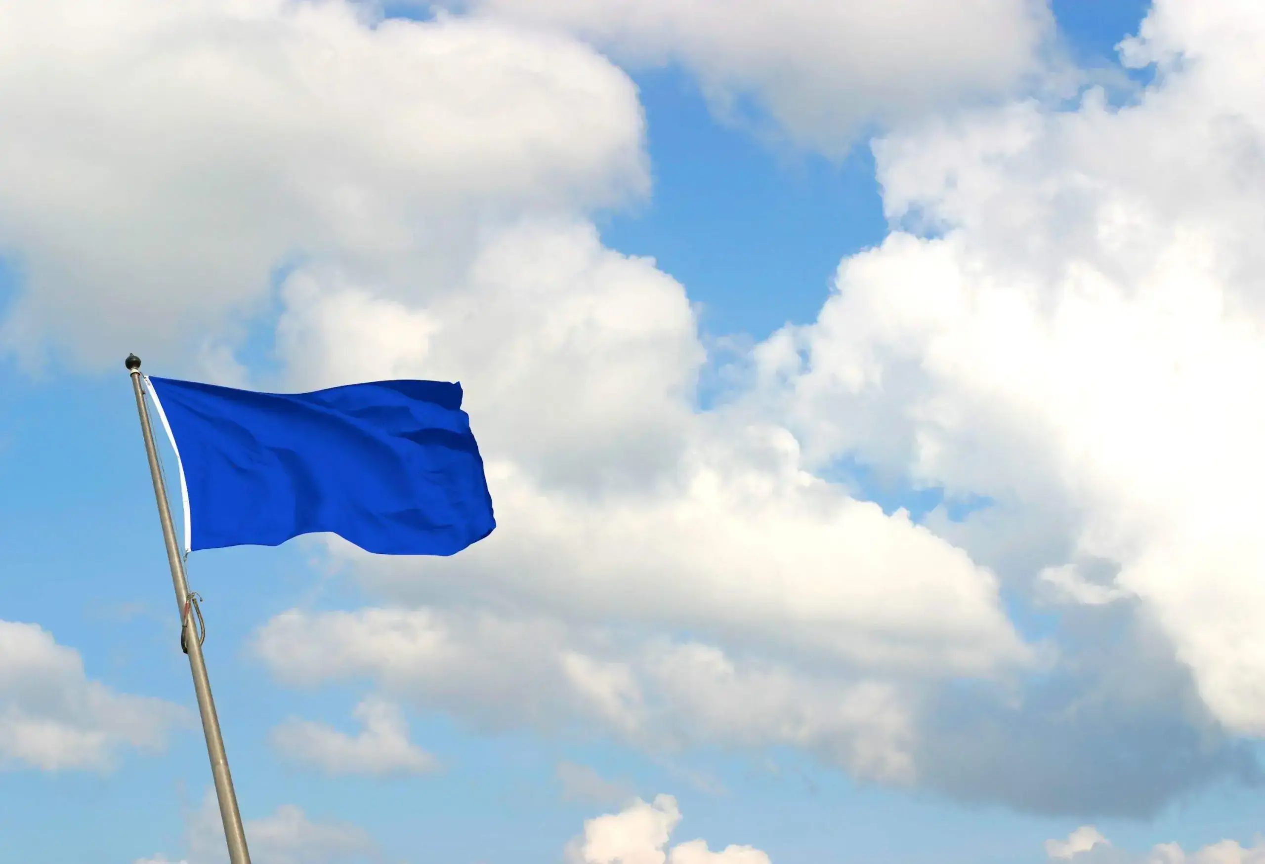 a blue flag with skies in the background