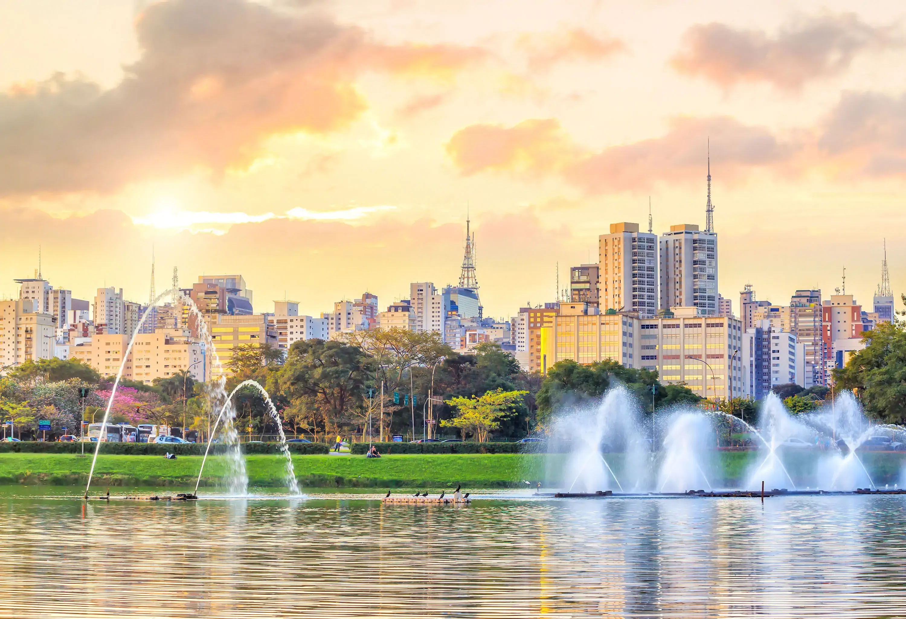 A lake in a park with a water fountain and high-rise structures behind it.