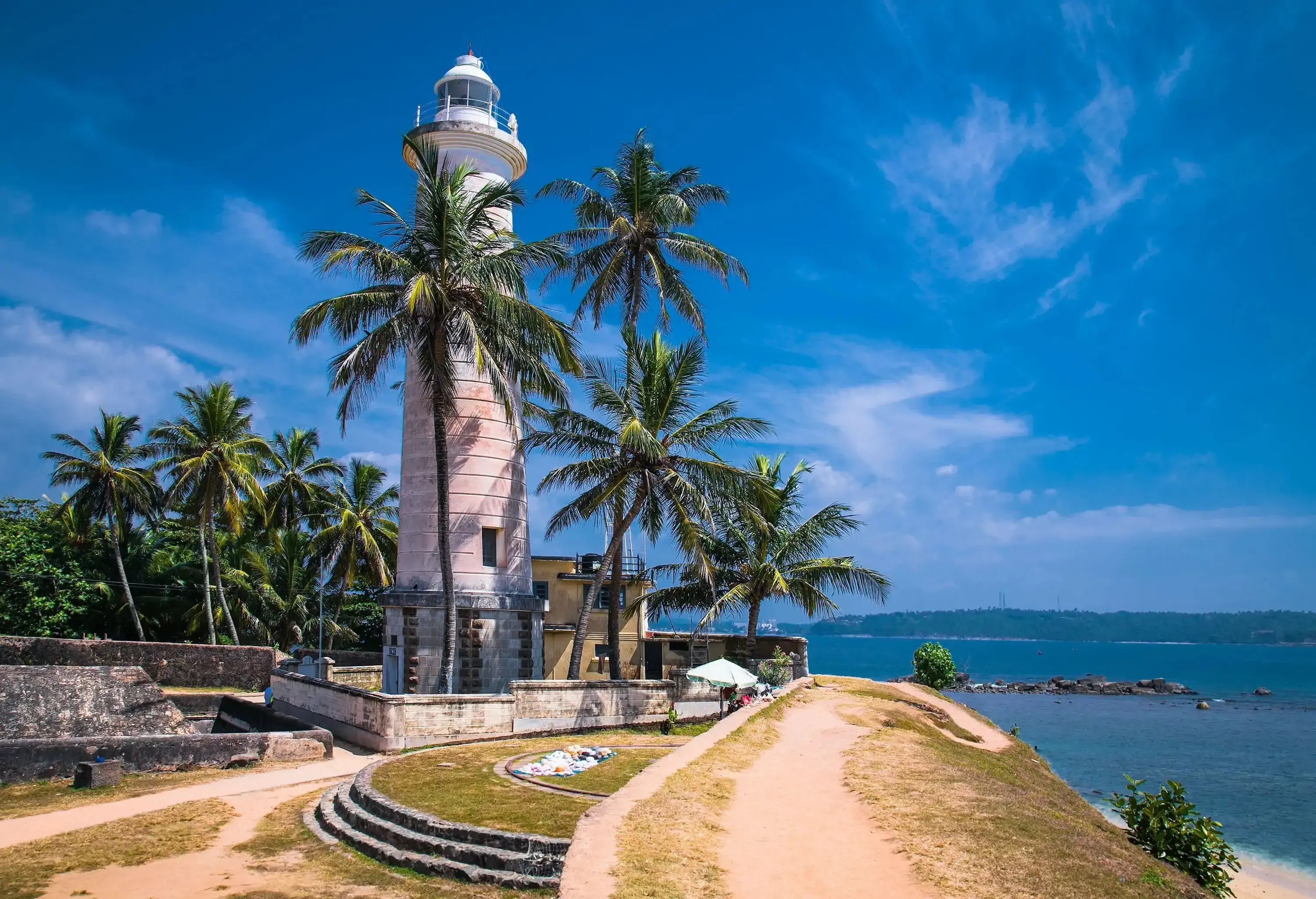 A lighthouse surrounded by palm trees perched on a hill overlooking a vast ocean.