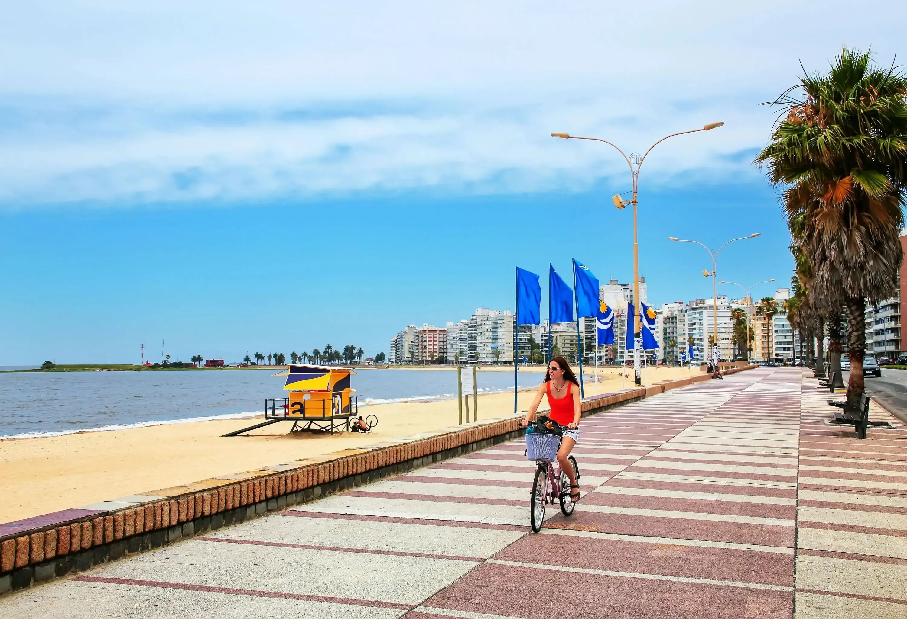 A woman bikes on the promenade lined with blue coloured flags and trees between the row of tall buildings and the soft sand beach.