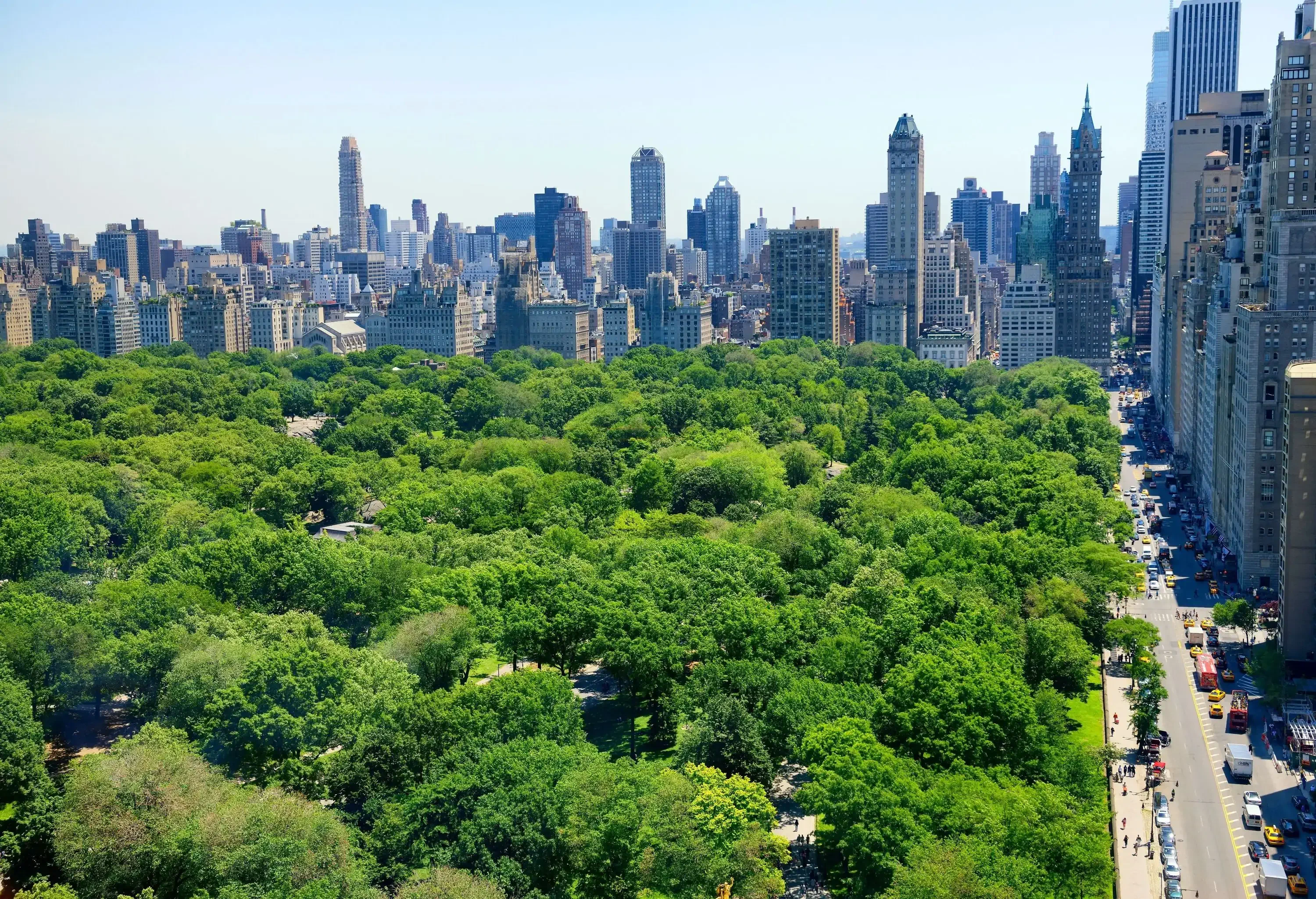 A park covered in dense forest surrounded by a cluster of modern skyscrapers.