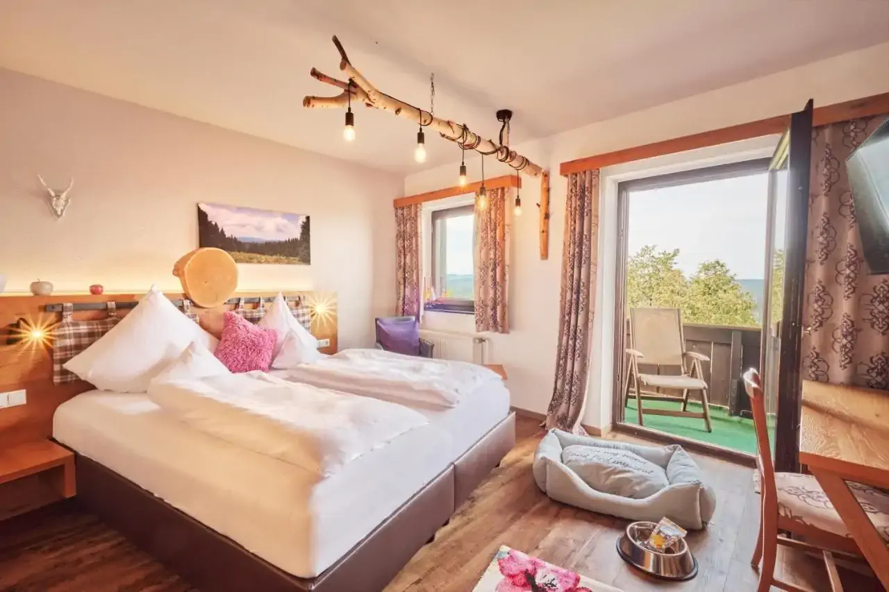 Cozy modern hotel room with a dog bed